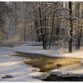 The first light
