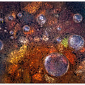 Art Prints of Winter Over Autumn