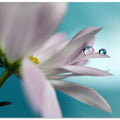 In turquoise Company