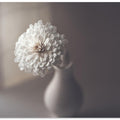 window light