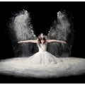 Dust Wings