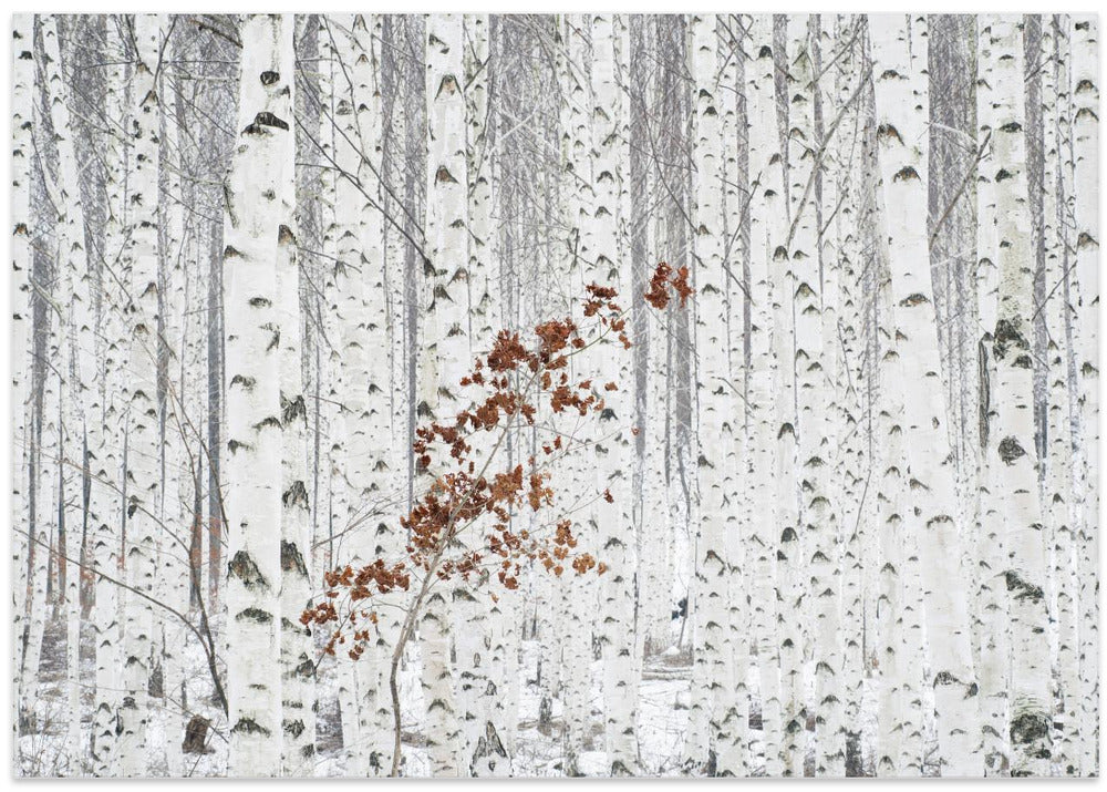 From White