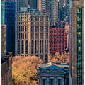 City Life