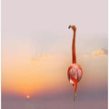 sunset ...