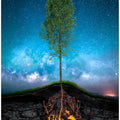 Emerging Spring