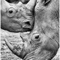 Face to face