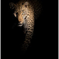 Out of the darkness