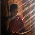 novice