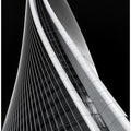 Art Prints of Citylife