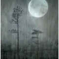 Under the moon