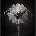 Floral Ballet