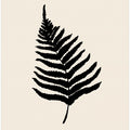 Fern