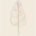 Banana Rainbow Leaf