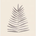 Palm Leaf Ink