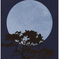 Dark Night