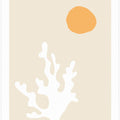 Seaweed in the Sun