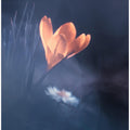 Upanishad