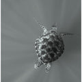Art Prints of To the eeep