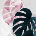 Monstera Creative 08