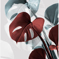 Monstera Creative 15
