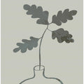 Green Oak Plant