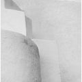 Art Prints of Shades of White