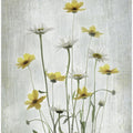 Summer Flowers