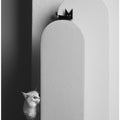 Art Prints of B&W