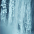 Be Like Water