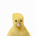 Art Prints of Duck
