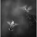 Art Prints of Confession in the Rain