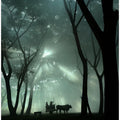 oxcart silhouette