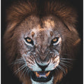 Art Prints of The Angry Face