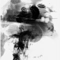Art Prints of wild_play_002