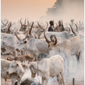 Art Prints of Tochmanga camp