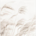 REED