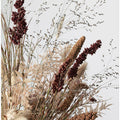 Dried_001