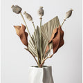 Dried_003