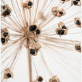 Dried_007
