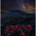 Night Spirit