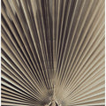 Art Prints of Palmblad_001