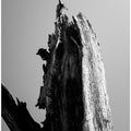 Art Prints of Wetlands 1