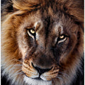 Art Prints of The king