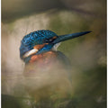 Art Prints of A hidden gem
