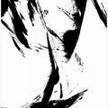 Art Prints of Feathery Streak