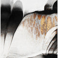 Art Prints of Gold Veins