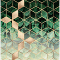 Art Prints of Leaves And Cubes