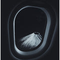M.FUJI