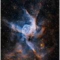 Thor's helmet