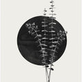Plant and Black Sun